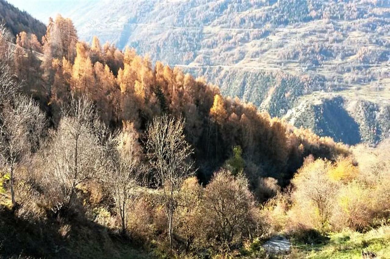 La Chaumiere D'Herens Vernamiège Εξωτερικό φωτογραφία